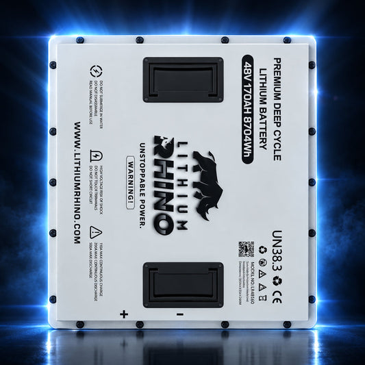 48V 170Ah Lithium Rhino 300a BMS Conversion Kit