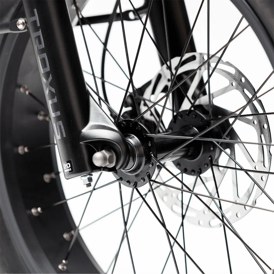 Detailed view of the high performance twin piston front brake system and stainless hub spokes on the Lynx Plus ebike.