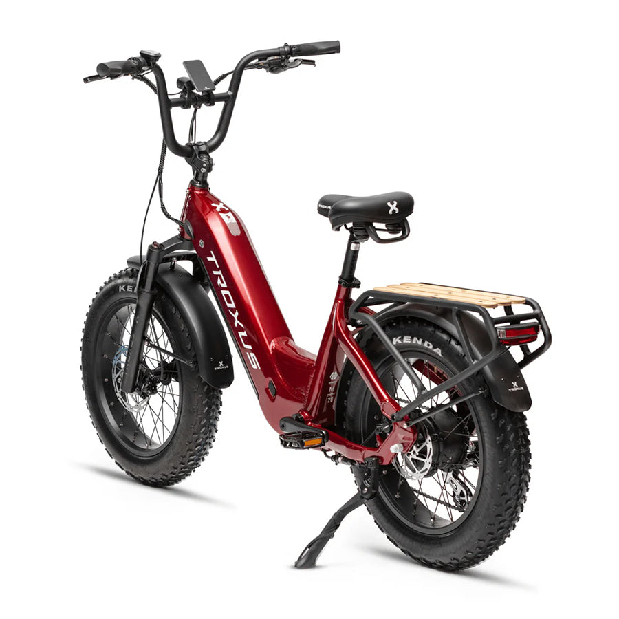 Rear angled view showing Bafang 750 watt hub motor and rear alloy rack of the Troxus Lynx Plus E-bike, with 400 pound load rating capacity.